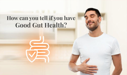 Blog banner on signs to know if your gut is healthy or not