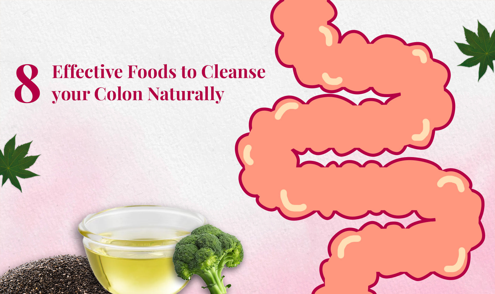 Colon Cleaned 8 Effective Food Habits to Cleanse Your Colon Naturally – EriCare®
